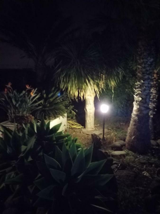 Palmeras Ingenio Exterior foto