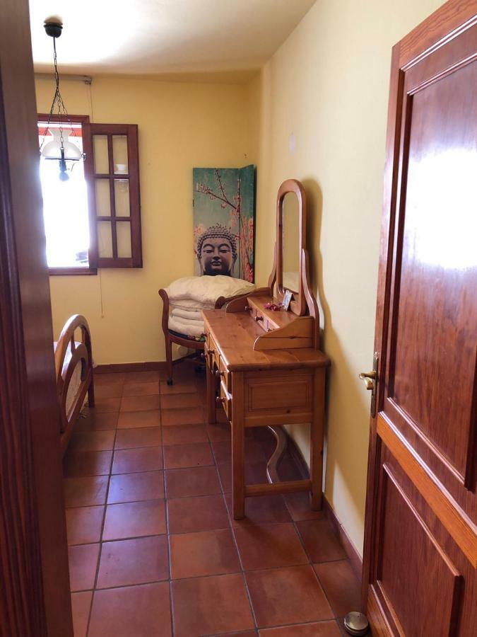Palmeras Ingenio Exterior foto