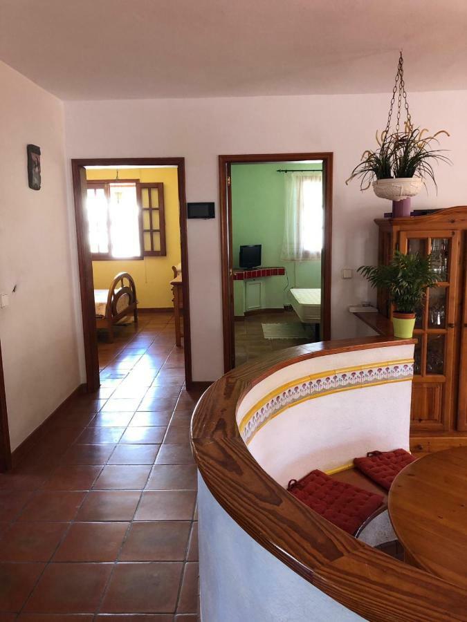 Palmeras Ingenio Exterior foto