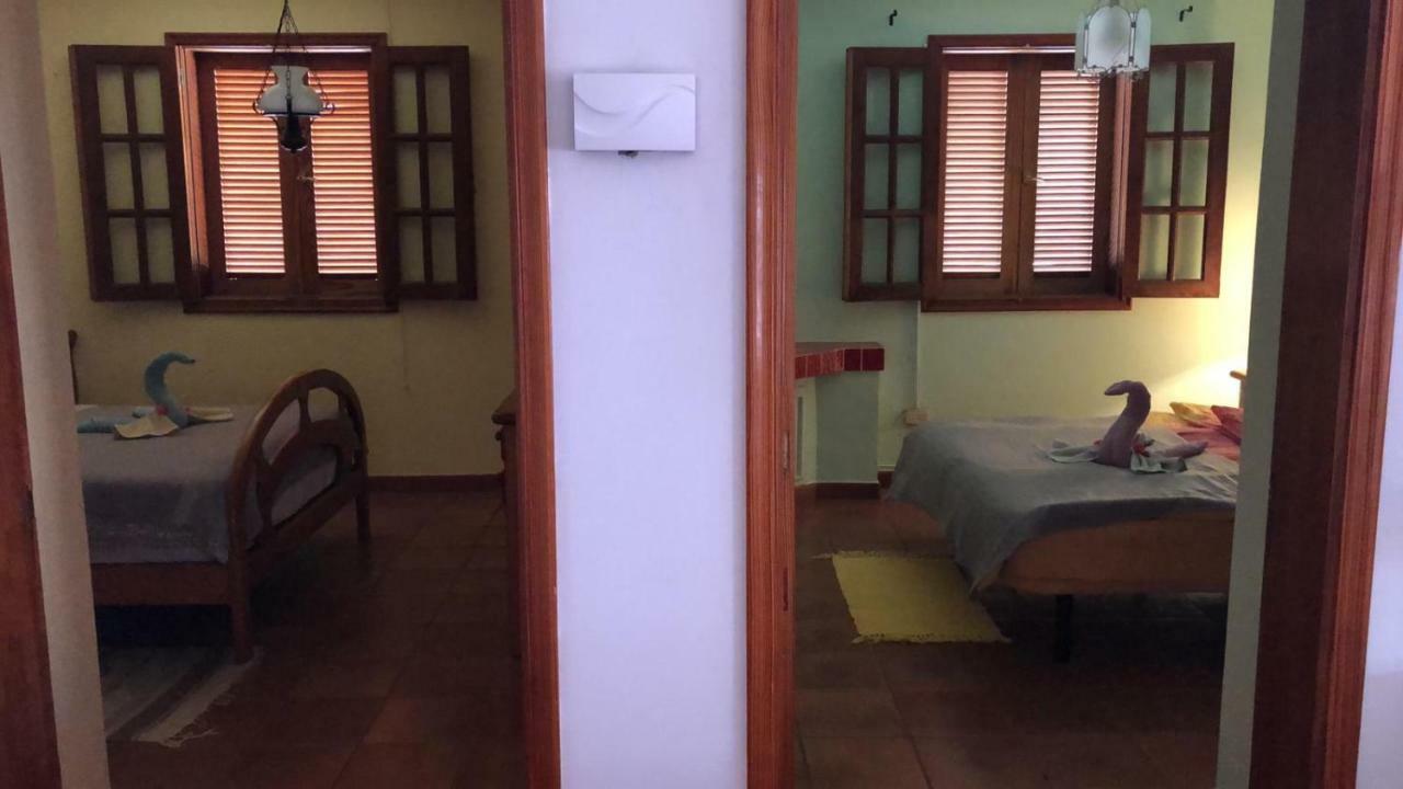 Palmeras Ingenio Exterior foto